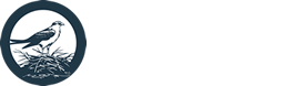 Osprey Nest Lake Norman